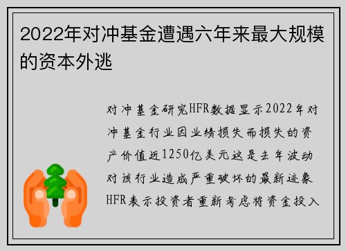 2022年对冲基金遭遇六年来最大规模的资本外逃 