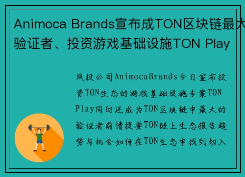 Animoca Brands宣布成TON区块链最大验证者、投资游戏基础设施TON Play